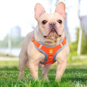Harnais pour chien réfléchissant pour animaux de compagnie petit chien réglable chiot harnais gilet chien Teddy <span class=keywords><strong>Koki</strong></span> extérieur marche laisse laisse chat sangle de poitrine - Product Image 3