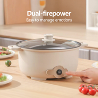 Poêles à frire 24 CM Poêle à frire Casserole Multifonctionnelle Antiadhésive Mini Double Couche Cuisson Électrique Hot Pot Cooker