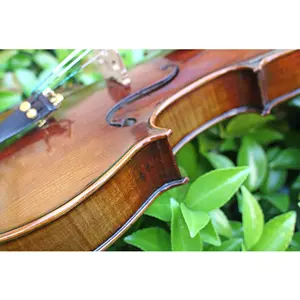 Violon Antique professionnel fait à la main en bois européen