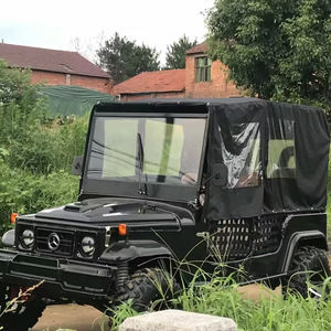 Nuevo Mini Jeep Utilitario, Nuevo Buggy, Carritos de Gasolina, Transporte Especial de Fábrica, Mini Jeep Carrito a Bajo Precio - Product Image 1