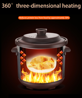 Marmite Électrique en Céramique Grande Capacité, Non Revêtue et Durable, pour Soupes et Bouillons, Vente Directe Usine