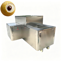 Automatische groente- en fruitzaaimachine kerncomponent motor voor landbouwgebruik - Tomaten, pinda's, dadels, jujubes, druiven 380V 100kg/u