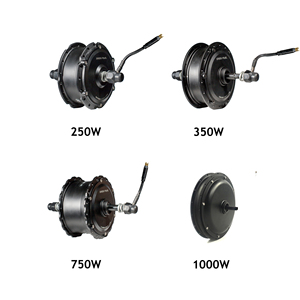 20 Inch Fat Tire Ebike <strong>Conversion</strong> <strong>Kit</strong> <strong>E</strong> Bike <strong>Conversion</strong> <strong>Kit</strong> Electric Bicycle Motor - Product Image 6