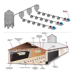 12000 chicks automatic chicken feeding drinking line system