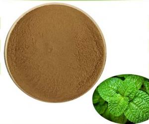 Saf doğal bitki özleri nane tozu organik nane özü/nane özü - Product Image 1