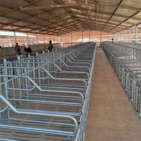 Équipement complet d'élevage porcin automatique pour ferme porcine avec conception