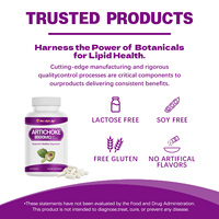 Capsules d'artichaut antioxydantes - Supplément antioxydant haute puissance, soutien à la détoxification du foie et à la santé cardiaque, végétalien sans OGM