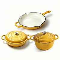 Ensemble de casseroles en fonte 3 pièces, résistant au four, comprenant une poêle, des marmites à soupe et à bouillon, pour cuisinières à induction et à gaz