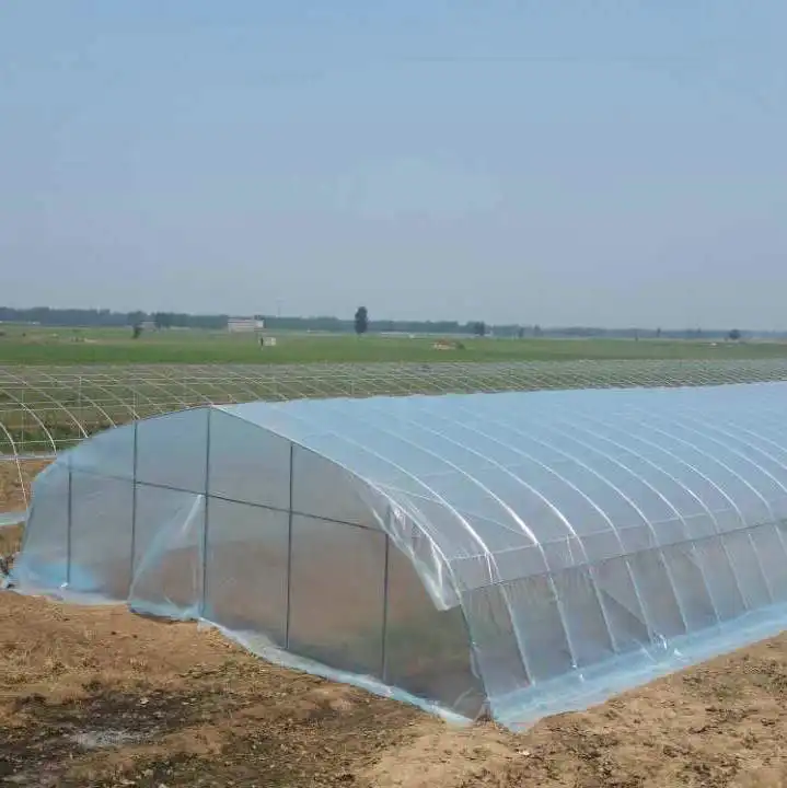 温室プラスチックカバー水耕システム耐久性のある溶融亜鉛めっき鋼構造