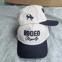 Gorras de Béisbol Deportivas Unisex con Bordado 3D Personalizado |   Venta al por Mayor Premium con Impresión de Logotipo y Bordado, MOQ Bajo