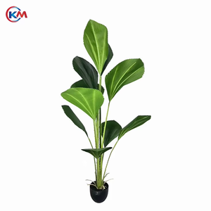 <span class=keywords><strong>Palmier</strong></span> artificiel <span class=keywords><strong>Licuala</strong></span> Plante en faux bonsaï <span class=keywords><strong>Palmier</strong></span> artificiel en pot Plante artificielle pour décoration d'intérieur - Product Image 4