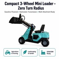 Mini-chargeuse compacte à chenilles à cadre étroit, à essence, avec godet large, pour travaux agricoles en serre, faible MOQ 1 unité