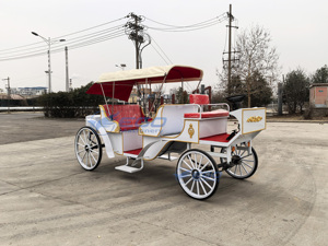 Carrosse de Victoria électrique pour le tourisme et les mariages, transport spécial, prix usine, à vendre - Product Image 4
