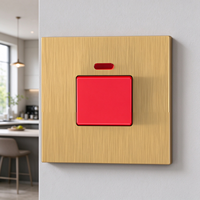 Interrupteur mural OEM personnalisé en or 45A, robuste, avec voyant néon, pour chauffe-eau, cuisinières et appareils électroménagers haute puissance