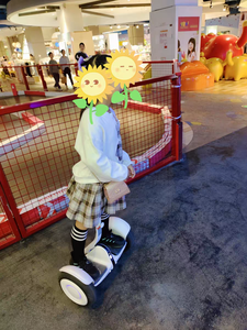 Mini Pro 2, Patinete Eléctrico de Autoequilibrio de Dos Ruedas con Luces LED Inteligentes de 1600W, Hoverboard para Niños y Adultos - Product Image 3