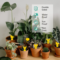 Fournitures de jardinage antiparasitaire en gros Piège à insectes Planche étanche