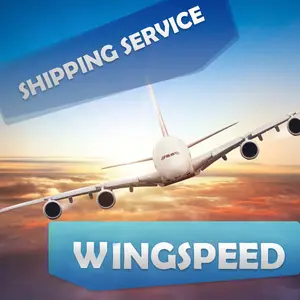 Воздушная перевозка WINGSPEED, FBA, экспедитор грузов из Китая, Шэньчжэнь, Гуанчжоу, иу в США, Великобританию, Канаду с обслуживанием