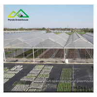 Meestverkochte Gotische Tuinbouwkas Kit |   Grote turnkey commerciële structuur voor hoogproductieve groente- en bessenteelt