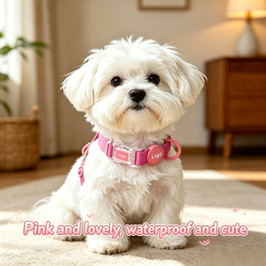 Coleira Impermeável para Cães, Tamanhos Grande, Médio e Pequeno, Coleira Universal, Coleira de Treinamento para Cães de Luta Tedesco - Product Image 2