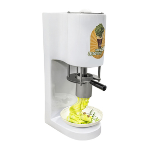 เครื่องทำไอศกรีมเส้นสปาเก็ตตี้80W อุปกรณ์ทำก๋วยเตี๋ยวอิตาเลียนเทคโนโลยีทันสมัย