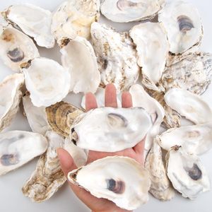 4-5 inch 30 chiếc vỏ sò hàu lớn, số lượng lớn, tự nhiên, vỏ sò hàu nhỏ dùng làm đồ thủ công, đồ trang trí Giáng sinh - Product Image 3