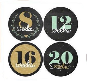 2019 Offre Spéciale Usine Fournir Directement Floral Bébé Mensuel Jalon Autocollants (<span class=keywords><strong>Lot</strong></span> de 20) -de la <span class=keywords><strong>naissance</strong></span> à 12 Mois + 7 - Product Image 2