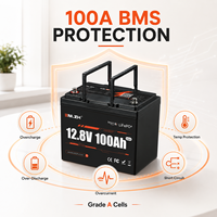 Enlzh 12V 100Ah Mini LiFePO4 Baterai 15000 Siklus Maksimal, Daya 1280Wh, Umur Pakai 10 Tahun, untuk Trailer Portabel