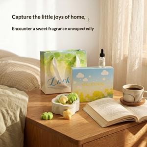 Set de Regalo de Aromaterapia Trébol de Cuatro Hojas, Lindo Kit de Fragancias Curativas con Aceite Esencial para Decoración del Hogar - Product Image 6