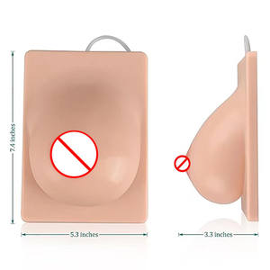 Modelo <span class=keywords><strong>de</strong></span> Seno Lactante <span class=keywords><strong>de</strong></span> <span class=keywords><strong>Silicona</strong></span> para Entrenamiento en Economía del Hogar Escolar - Product Image 1