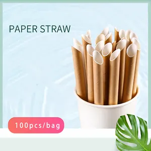 Eco Friendly Disposable White Brown Kraft Paper Drinking Straw Individually Wrapped Paper Straw