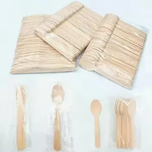 Biodegradable Disposable Wooden Cutlery Spoon Wooden Spoon Eco-friendly Cutlery