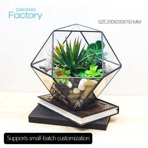 Jardinière de <span class=keywords><strong>Terrarium</strong></span> en verre géométrique noir fait à la main petit Pot de fleur pentagone pour plantes succulentes décor de table <span class=keywords><strong>Terrarium</strong></span> - Product Image 4