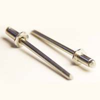SDPSI DCT Galvanisé acier noir guirlande rosette rivets aveugles pour automobile