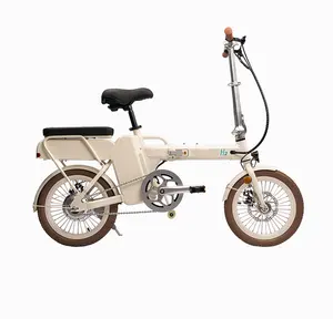 가정용 전기 화학 자전거 휴대용 수소 연료 전지 전자 자전거 수소 자전거