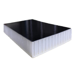 Insulation Roof Wall FRP <strong>Panel</strong> Design Noise Cancelling Wall <strong>Panel</strong> FRP Sandwich <strong>Panel</strong> Pir Export to Peru/poland/urkey Camping Car - Product Image 4