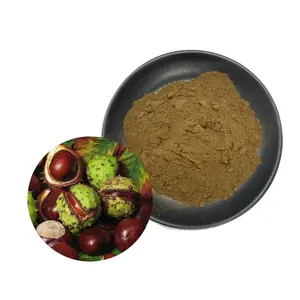 Bonne vente Horse Chestnut Extract pour en stock