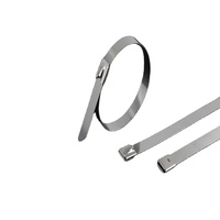 Maßgefertigte 304 Edelstahl 316 SS Selbstverriegelnde Kabelbinder mit Fixierhalterung 2026