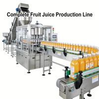 Ligne de traitement entièrement automatique de jus de fruits frais (orange, agrumes, citron)