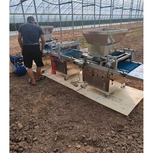 Semoir automatique haute performance pour plateaux de <span class=keywords><strong>semis</strong></span>, machine de <span class=keywords><strong>semis</strong></span> pour serres et pépinières, pour la plantation de graines - Product Image 6