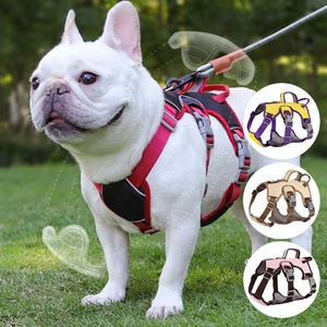 Factory Personalized Custom Logo Designers No Pull Cat Pet <strong>Lead</strong> <strong>Dog</strong> Harness Leash <strong>Collar</strong> Set <strong>for</strong> <strong>Dog</strong> - Product Image 4