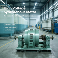 Moteur électrique synchrone avec boîtier en fonte, large plage de vitesse, faible augmentation de température, moteur synchrone YKK YRKK