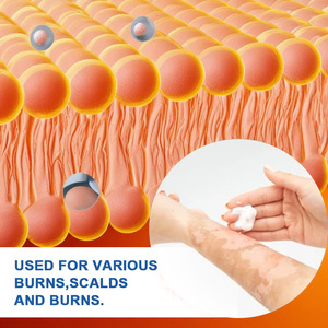 Baume de soin apaisant pour brûlures et plaies, à base de plantes, certifié ISO, crème réparatrice cutanée anti-infectieuse - Product Image 5