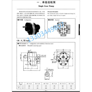 Pompe à engrenages hydraulique Yuci CB-FD31.5-FL à déplacement fixe, entraînement électrique - Product Image 2