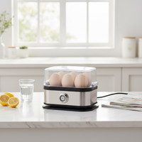 Cuiseur à œufs électrique automatique mini en acier inoxydable, portable, multifonctionnel, pour la cuisine et la maison, capacité de 7+ œufs