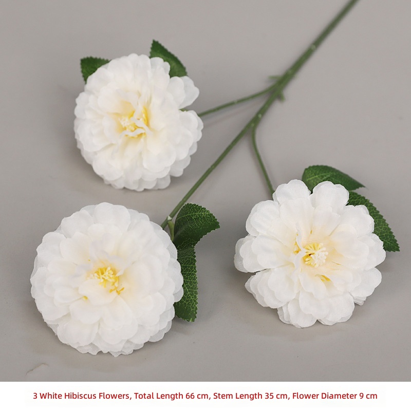 3 fleurs d'hibiscus
