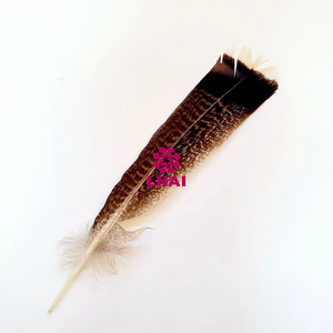 Plumas <span class=keywords><strong>de</strong></span> <span class=keywords><strong>Pavo</strong></span> Silvestre Naturales <span class=keywords><strong>de</strong></span> Diferentes Tamaños para Decoración, Venta al por Mayor <span class=keywords><strong>de</strong></span> Feather Factory, Precio Razonable, Excelente Calidad - Product Image 6