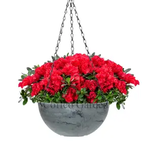 Kist 10-Inch Stenen Hangende Mand Plantenbak Vaas Groot Kunststeen Effect Tuinmuur Bloempotten Vloer Plant Bloemen