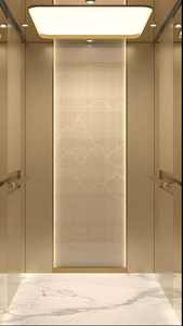 Ascensor Comercial de Pasajeros, Estilo Moderno, Accionamiento de CA sin Engranajes, Ascensor para Apartamentos, Aplicación en Centros Comerciales, OTIS - Product Image 5