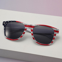 Lunettes de soleil promotionnelles 2026 New Color Patriot NFL NHL Game Match UV400, monture PC, drapeau américain