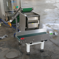 Machine d'emballage de comptage et d'ensachage automatique pour jouets de blocs de construction en vrac